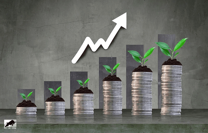 LiteFinance hỗ trợ tối đa cho người mới bắt đầu