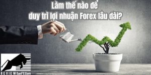 Bí quyết duy trì lợi nhuận Forex lâu dài mà trader nào cũng nên biết
