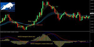 Biểu Đồ Giao Dịch Forex - Hướng Dẫn Từng Bước Để Thành Công