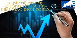 Bí Kíp Để Nhanh Chóng Tìm Ra Tín Hiệu Giao Dịch Forex