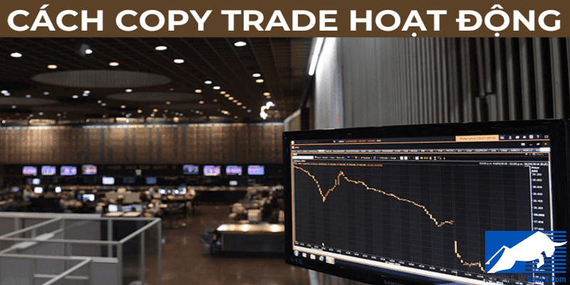 Copy Trade Forex hoạt động như thế nào?