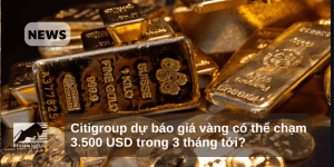 Citigroup dự báo giá vàng có thể chạm 3.500 USD trong 3 tháng tới?
