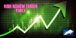 Kinh nghiệm Trader Forex giúp nhà giao dịch tránh các sai lầm phổ biến