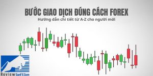 Hướng dẫn từng bước giao dịch đúng cách Forex dành cho trader mới