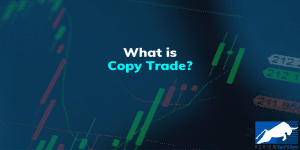 copy trade forex là gì? Chi tiết hướng dẫn cho người mới bắt đầu