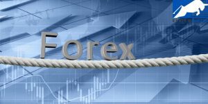 Tài khoản Forex phổ biến nhất hiện nay và cách chọn lựa