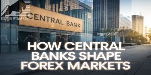 Tìm hiểu mối quan hệ giữa Central Bank vs Forex là gì để giao dịch hiệu quả