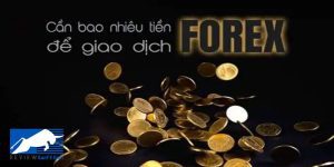 Bao nhiêu tiền để bắt đầu giao dịch Forex: Những điều mà Trader cần biết