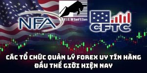 Danh sách các tổ chức quản lý Forex uy tín hàng đầu thế giới hiện nay