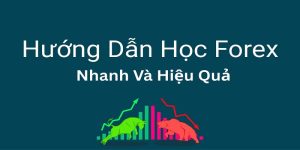 Cách học Forex nhanh chóng: Bí quyết rút ngắn thời gian thành công trong giao dịch