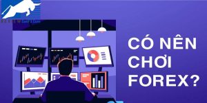 Có nên chơi Forex để kiếm lời nhanh? Góc nhìn từ các chuyên gia tài chính