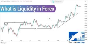 Kiến thức về thanh khoản thị trường Forex cho người mới bắt đầu