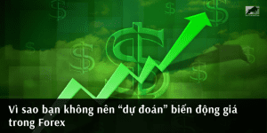 Vì sao bạn không nên “dự đoán” biến động giá trong Forex