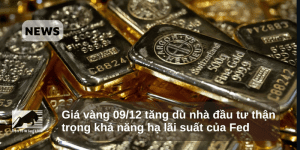 Giá vàng 09/12 tăng dù nhà đầu tư thận trọng khả năng hạ lãi suất của Fed